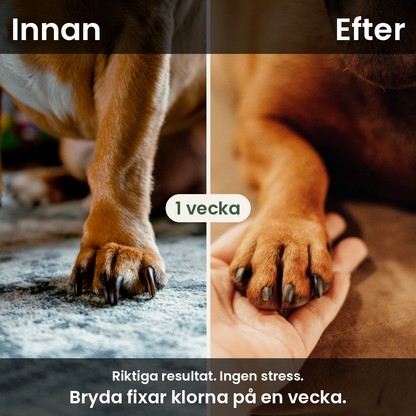 Brydas klobräda