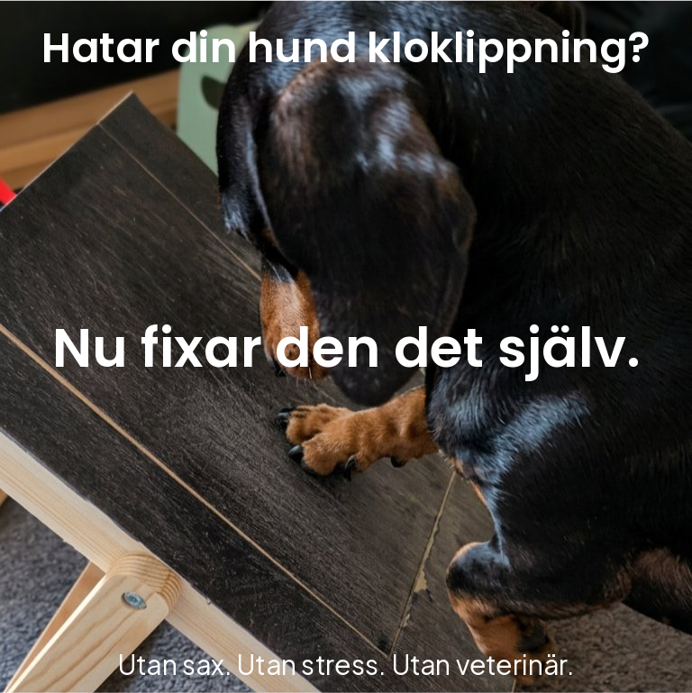 Brydas klobräda